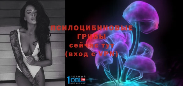 спиды Каменка