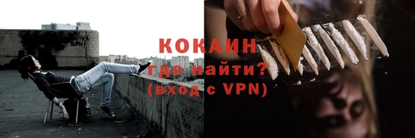 спиды Каменка