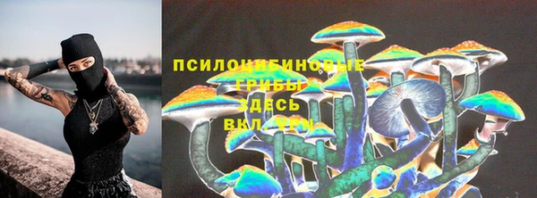 ALPHA PVP Каменногорск