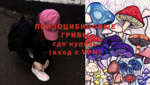 ALPHA PVP Каменногорск
