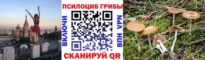 Купить где  Куйбышев  Псилоцибиновые грибы мухоморы 